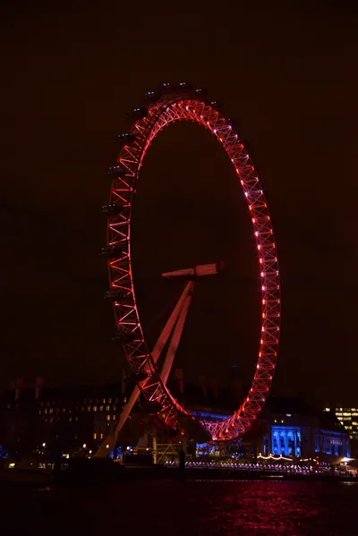 DSC_5715 (Large).JPG